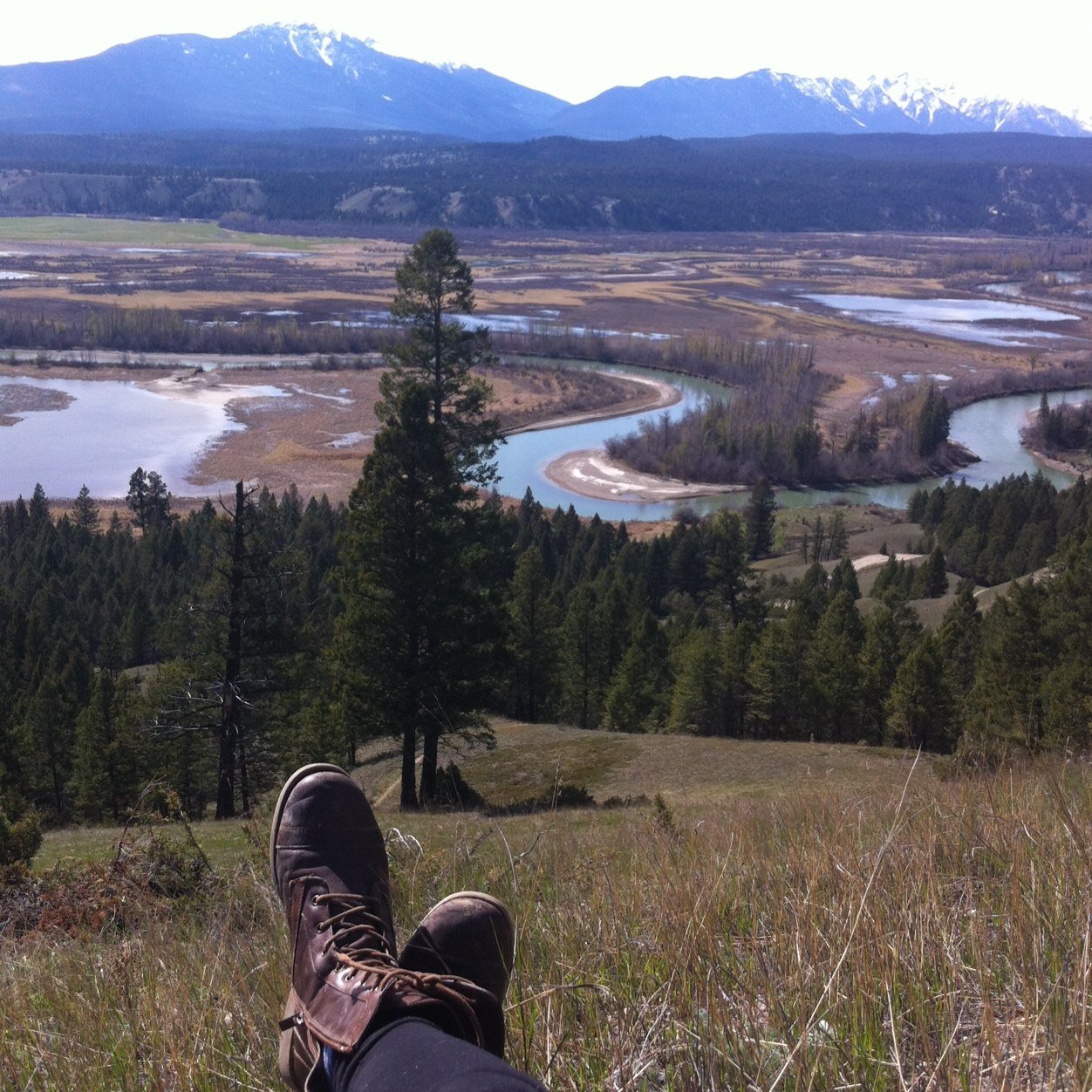 StephRawluk's profile picture. Free Spirit; Lorax, World Explorer & Dimensional Adventurer. I Fly ~ ~~✌️