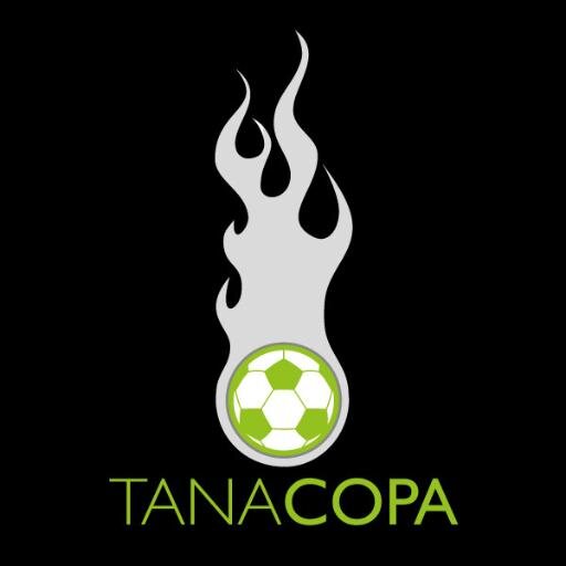 Futebol e Campeonatos internacionais, Copa 2014, Seleção Brasileira, História, Craques, Estádios e tudo sobre a preparação para a Copa no Brasil