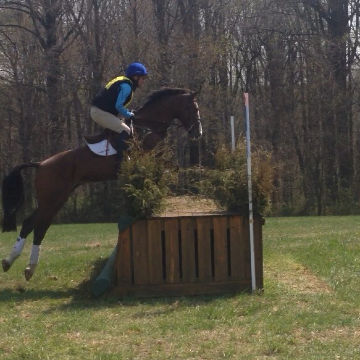 HorsePpoleProbs's profile picture. Hilarious honest horse problems!