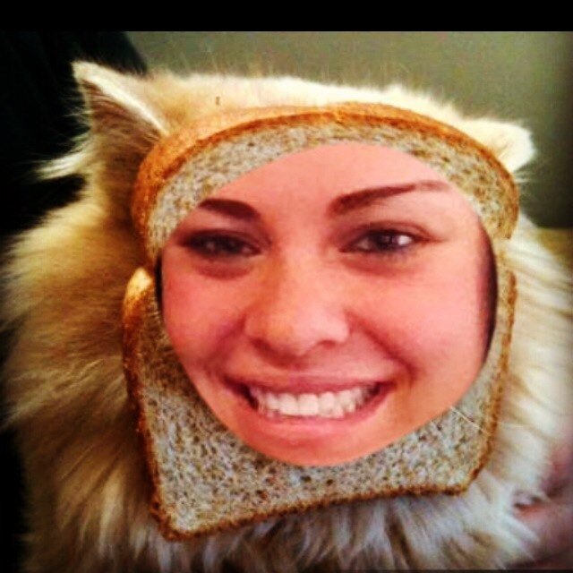 I love my boagies, steak, and my NY loaves of bread.