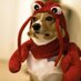 SniggyMcWiggins (@xiisniggymcwigg) Twitter profile photo