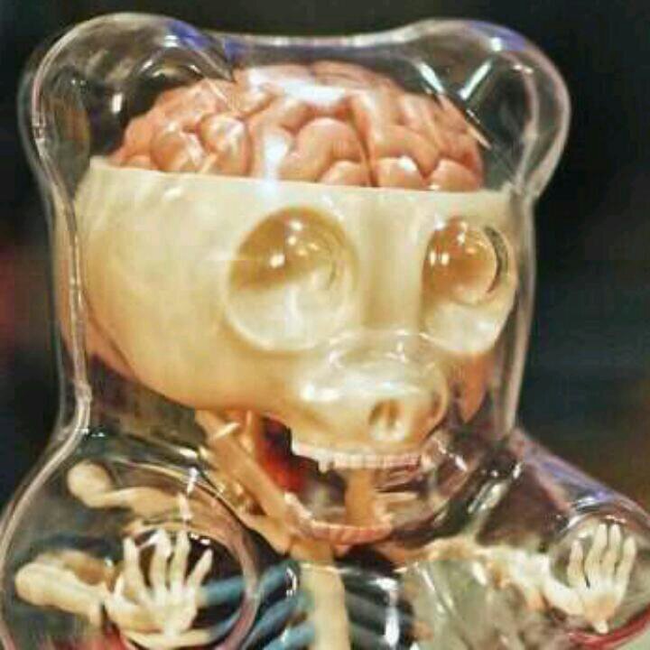 gregrolive's profile picture. 