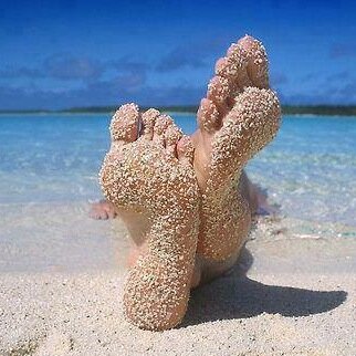 salle58's profile picture. #Mastondon @fabsalle@piaille.fr
#Bluesky  @fabsalle.bsky.social