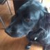 Oakley (@jdluft) Twitter profile photo