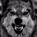 luis diaz (@13_13luis) Twitter