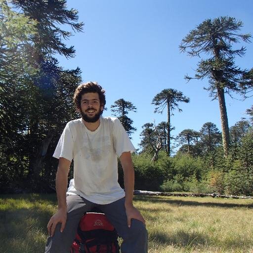 Sistemas agroforestales, socioecología, bosques.
Interesado en las relaciones humano-naturaleza.
Miembro de @sosoet_chile.
Violetista