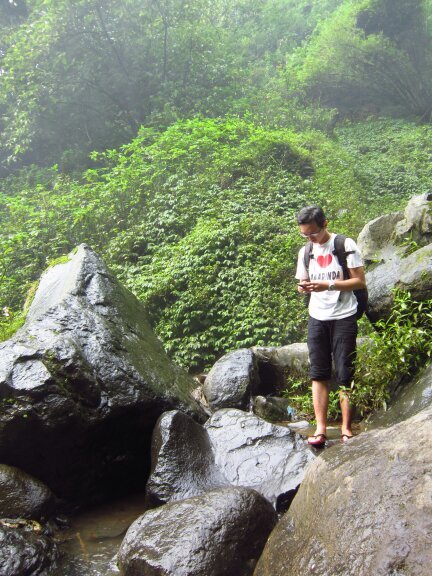 koooeko's profile picture. 