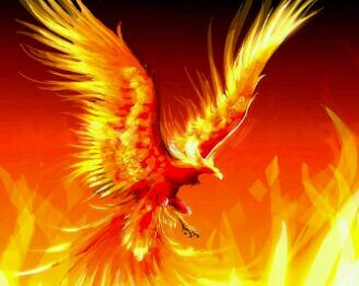 menchafenix7's profile picture. 