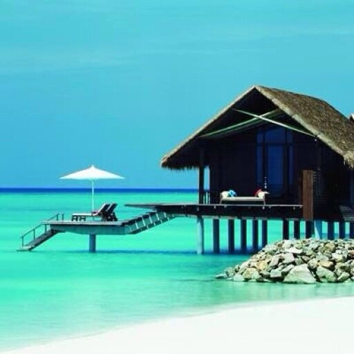 TropicScenery's profile picture. The most tropic photos of the world, rare earth pictures and top travel destinations.