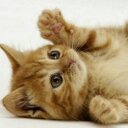 Ella bowden - @ella_jo_bowden - Twitter