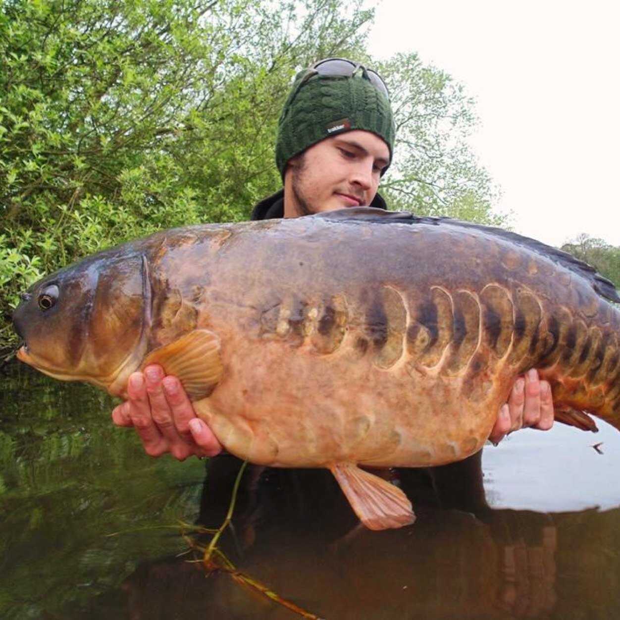 platty_8's profile picture. 