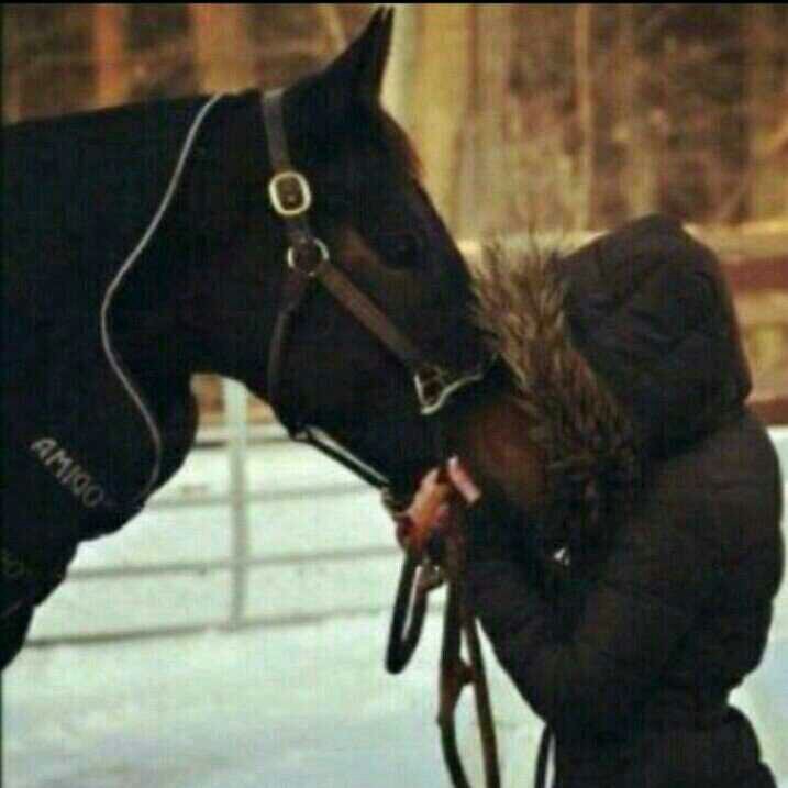 princess_geed's profile picture. 