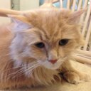 JoAnn Cote-Round - @CoteJoAnn - Twitter