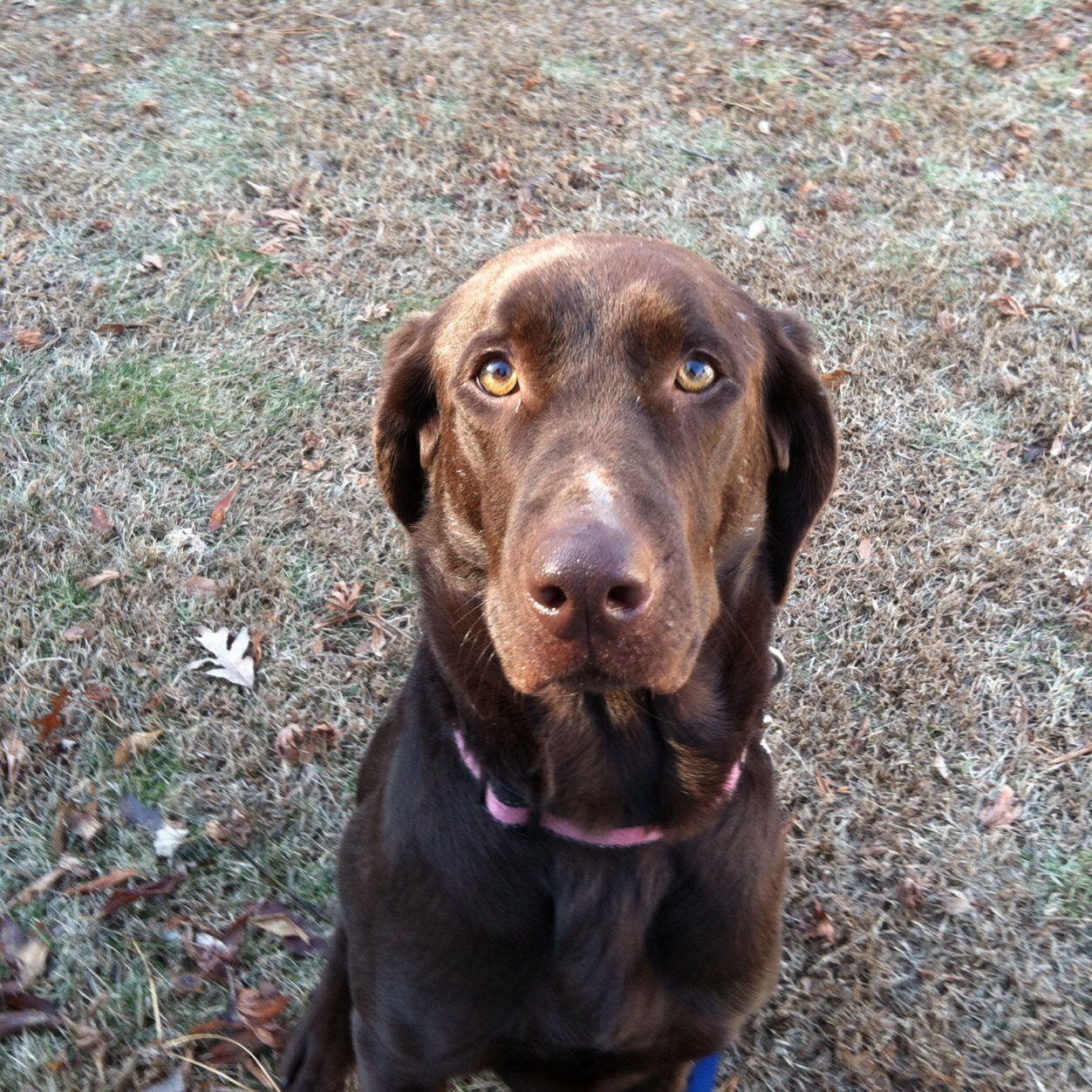 DeleteRose's profile picture. 