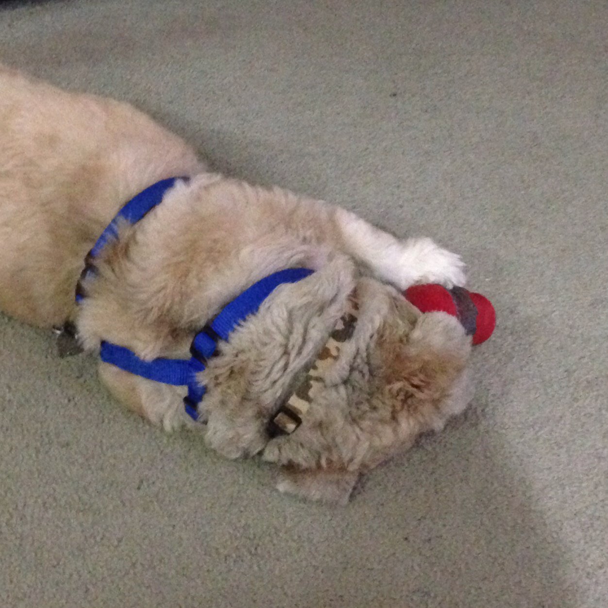 Barrett09karm's profile picture. 