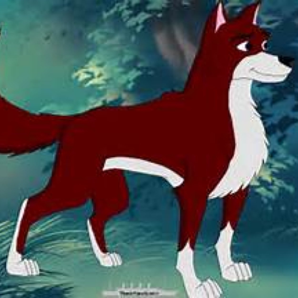 Yukon_TheHusky's profile picture. hey im Yukon a Husky my parents r Balto & Jenna and sisters r Aleu,Nunivat, & Saba my Brother is Kodi owner Jezabel [Single][Rp]