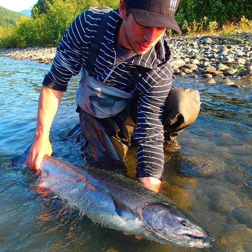 Interested in Skeena salmon and steelhead - data, methods and bright ideas.