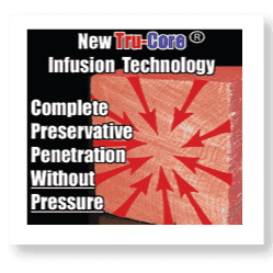 Finally..Termite protection that works!!!