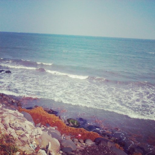 cuida tu mundo :) Veracruz