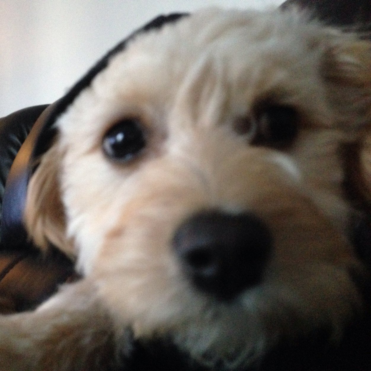 h00fbite's profile picture. Networking Knucklehead - Hater of Lies - Seeker of Truth