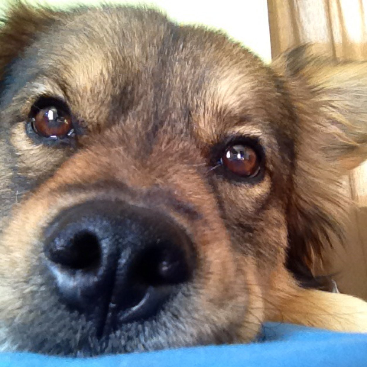 Founded as a Birthday surprise. Tweeted by Rocket and her friends