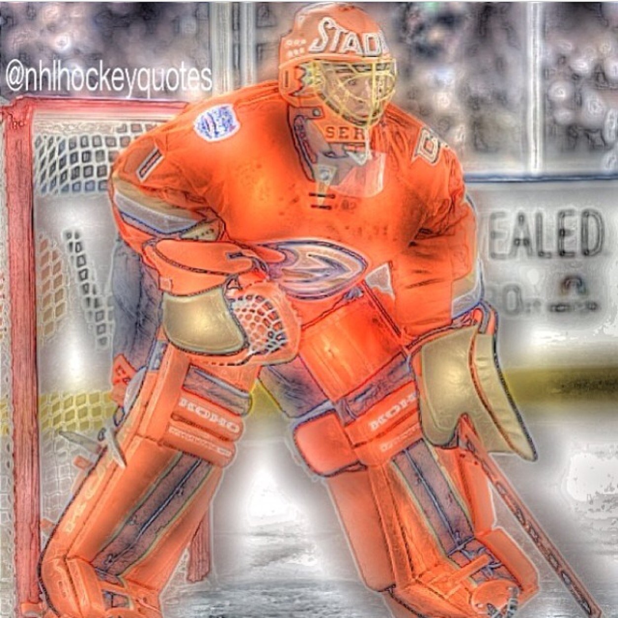 |snipe twine| celly hard| Snipein genos|
