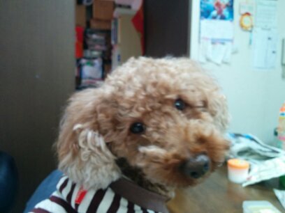 mominbu23's profile picture. 宜しく✌