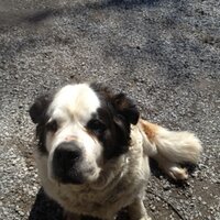 Bill Huitson (@agwilly01) 's Twitter Profile Photo Bill Huitson (@agwilly01) 's Twitter Profile Photo