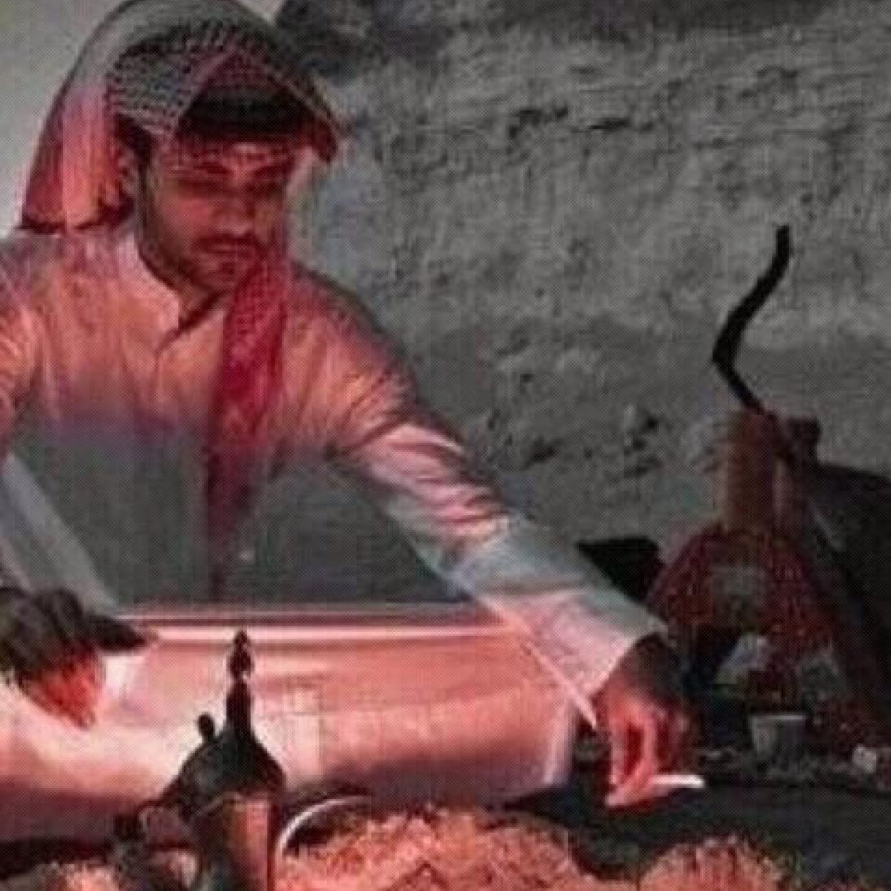 ذات أغواها الهدوء يوماً فعاشت على خطيئة الضجيج ..................................................................................المملكة العربية السعودية الرياض
