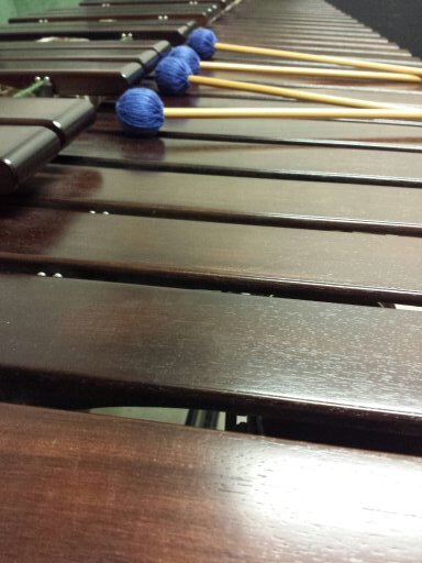 The Percussion Club of CSUN is dedicated to involving CSUN with the Northridge community through teaching and preforming percussion.