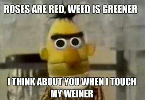 i can say what i learned in life with three words it gos on