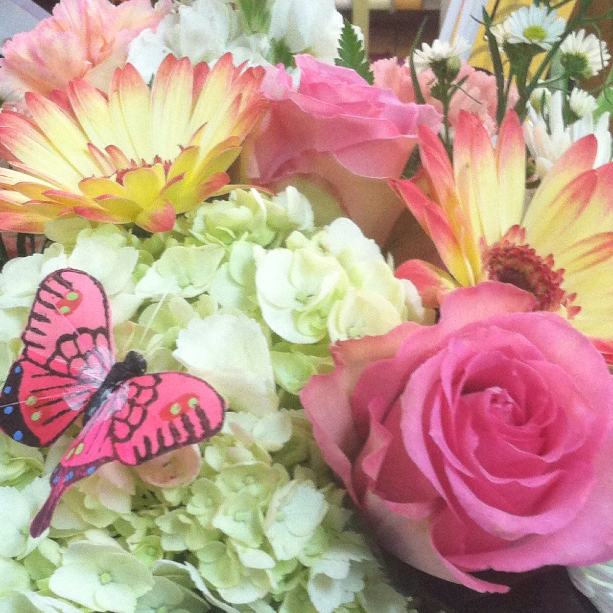 Country Treasures Florist located next to Jennings Funeral Home same location for 25+ years .. John 3:16