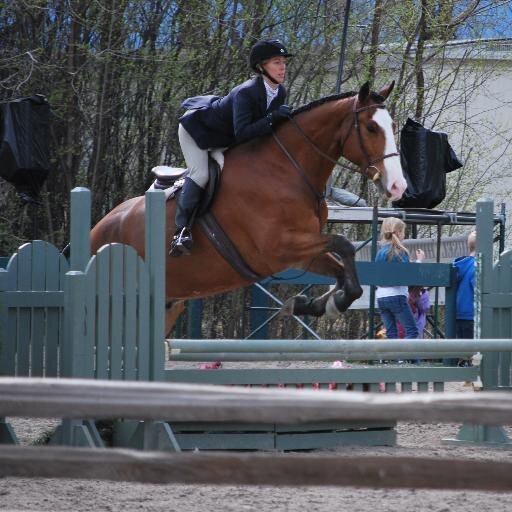 winediamonds10's profile picture. TQMS Coordinator Andrew Peller Winery
Enthusiastic Equestrian
