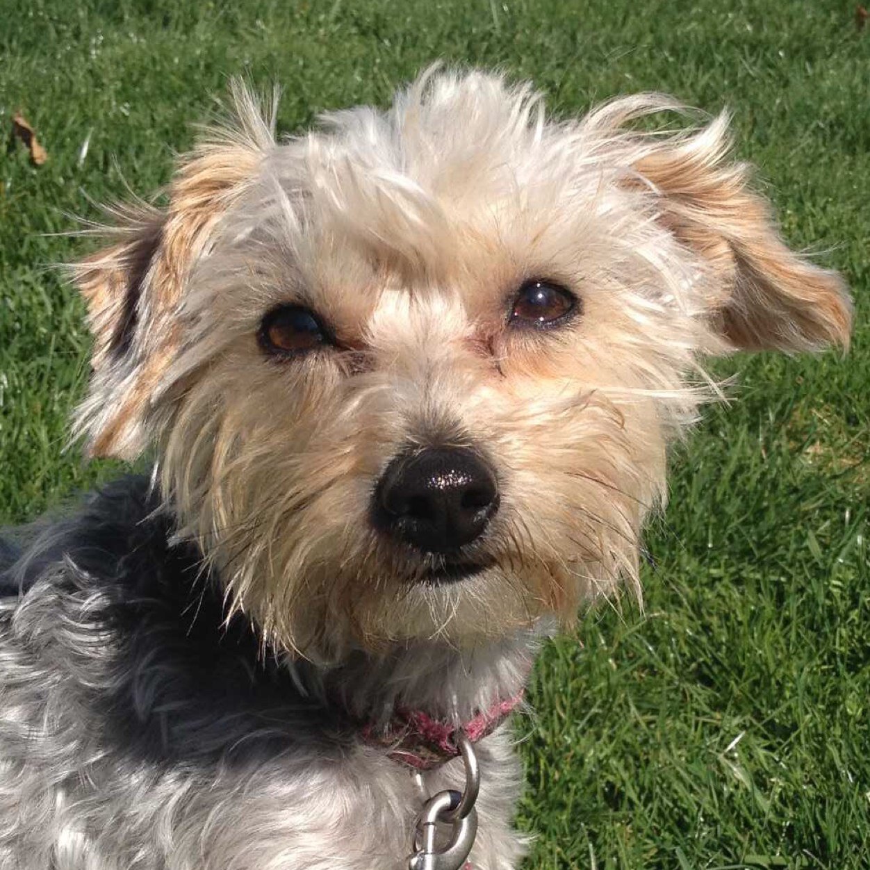 wlpeacock88's profile picture. 