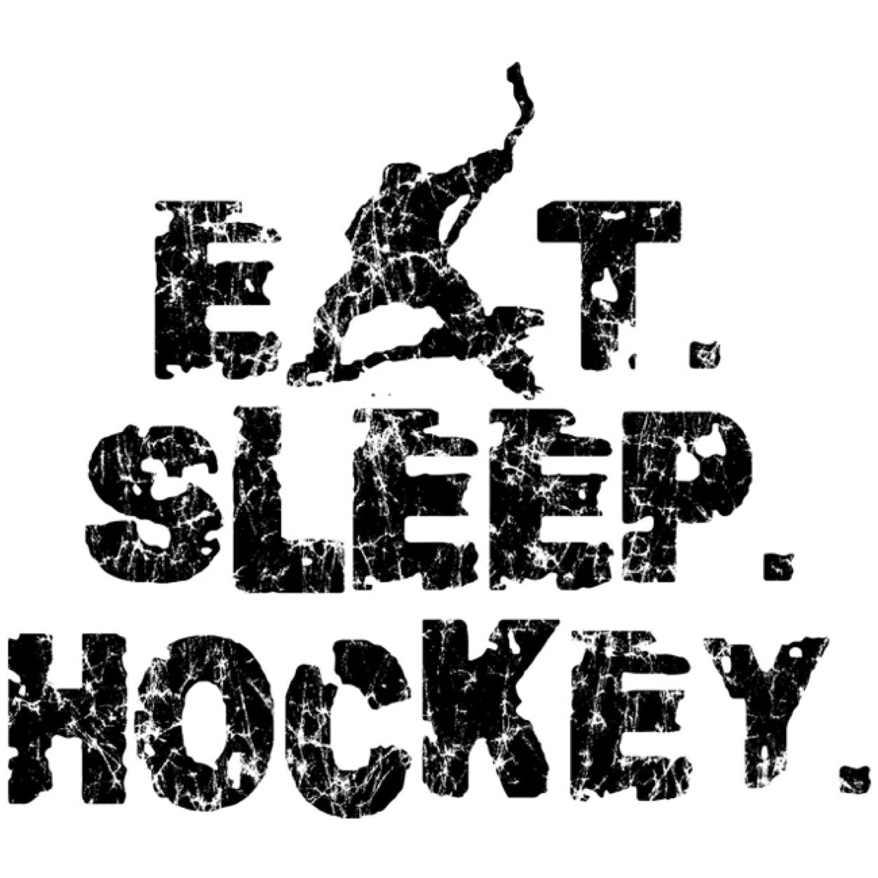 relatable feelings and thoughts of any typical female hockey player