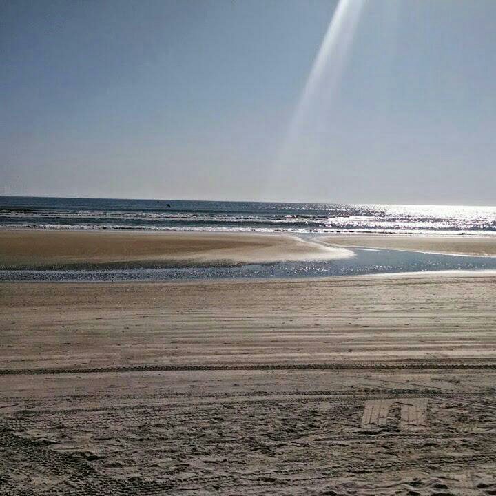 JanicePritchar2's profile picture. 