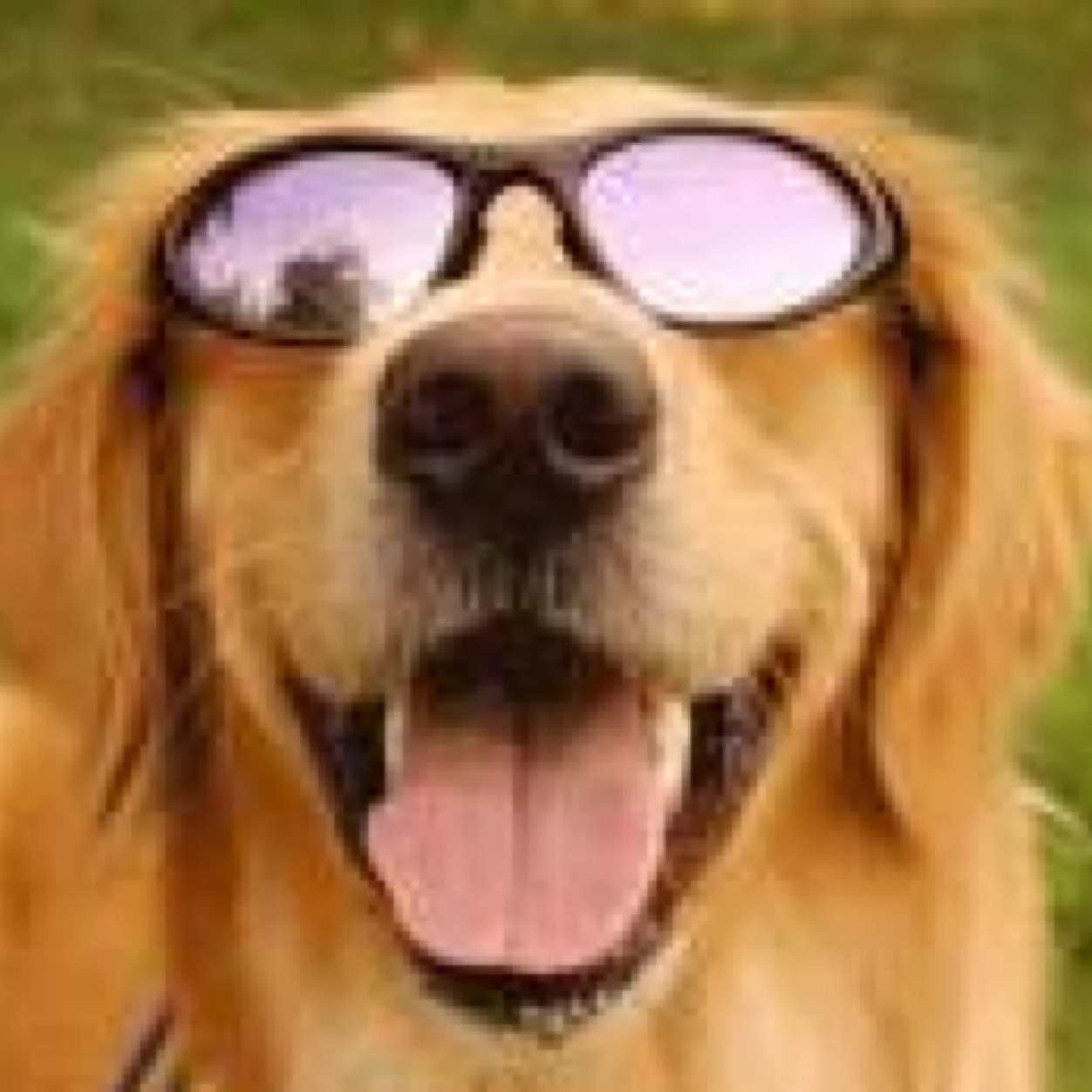 welshcake4's profile picture. 