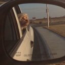 Greg Nordin - @gnordinjr - Twitter