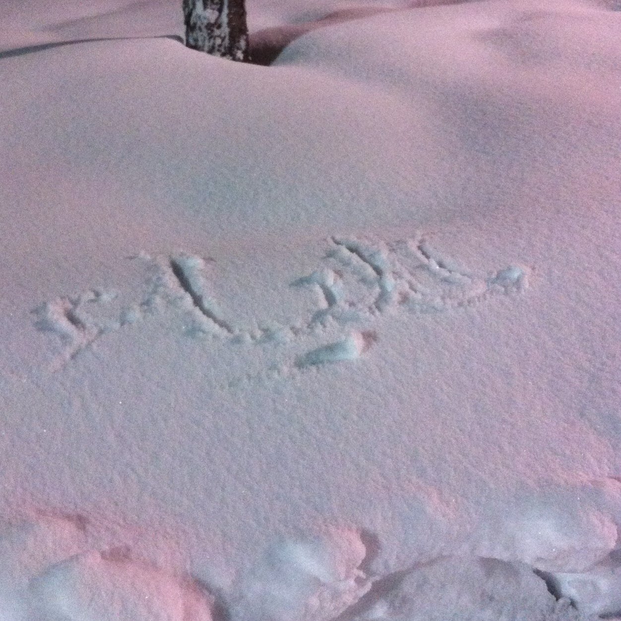 a_malaih's profile picture. الحمدلله حمداً كثيرا لدينا كل ما نريد ونحب بصحة وعافيه