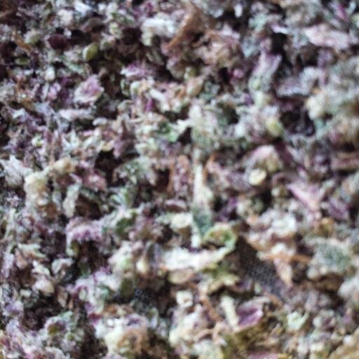 Marijuana Legalization Activists and Educators! #my420life #Potent #Legal #Cannabis #University #Edibles #Careers
