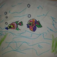 남쪽의 무지개 (@junpyop) 's Twitter Profile