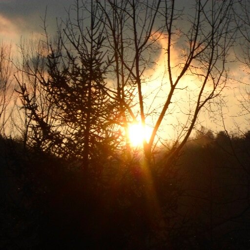 bmillersbabe's profile picture. 