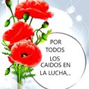 Miguel Michelangelli (@023_miguel) Twitter