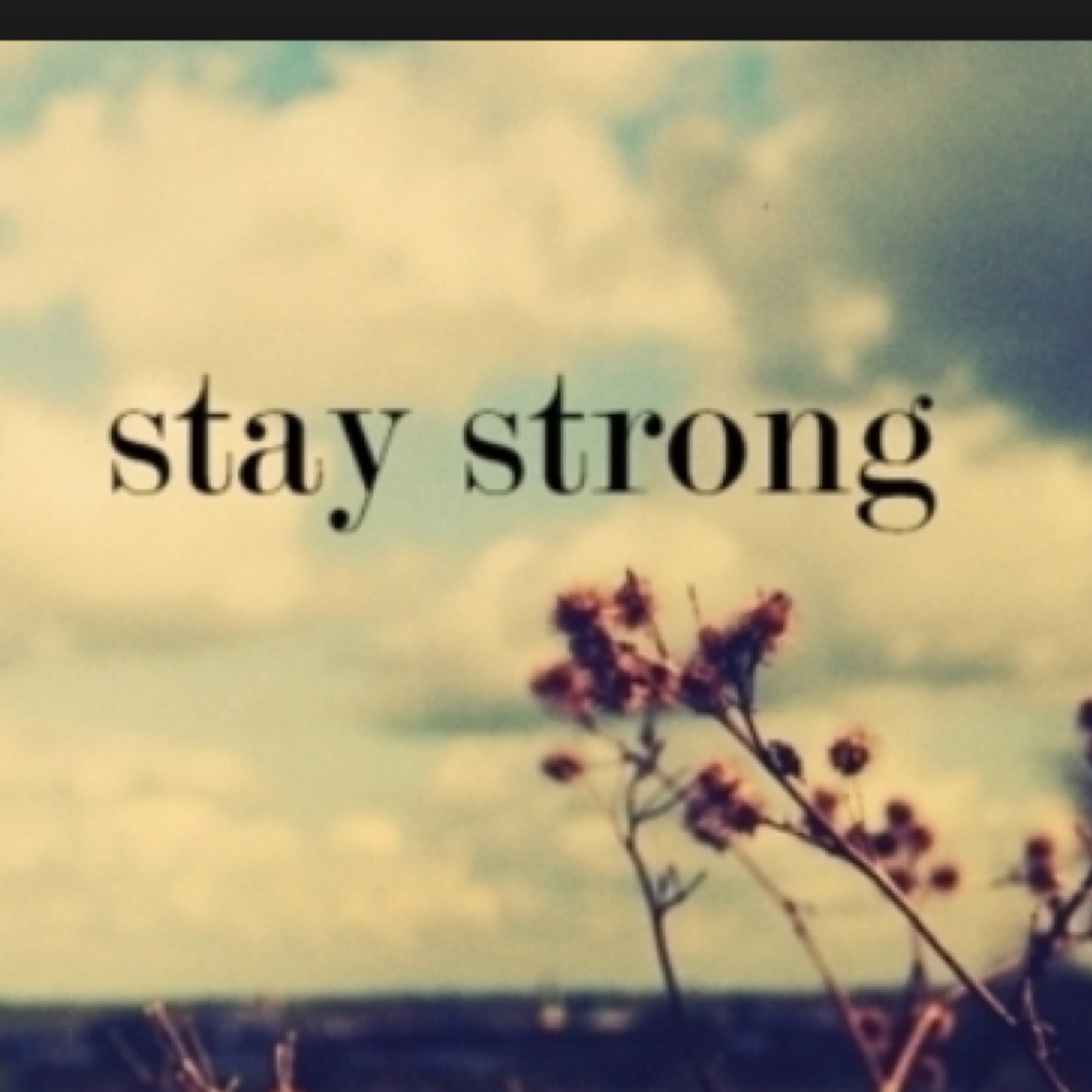 spiritstrong02's profile picture. 