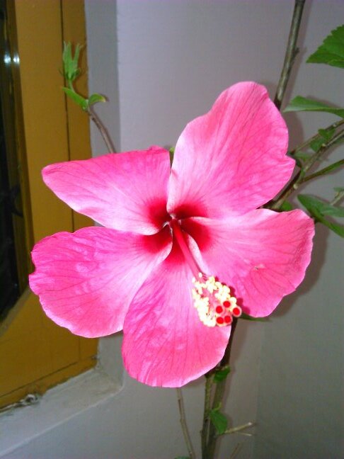 navneetnayyar49's profile picture. 