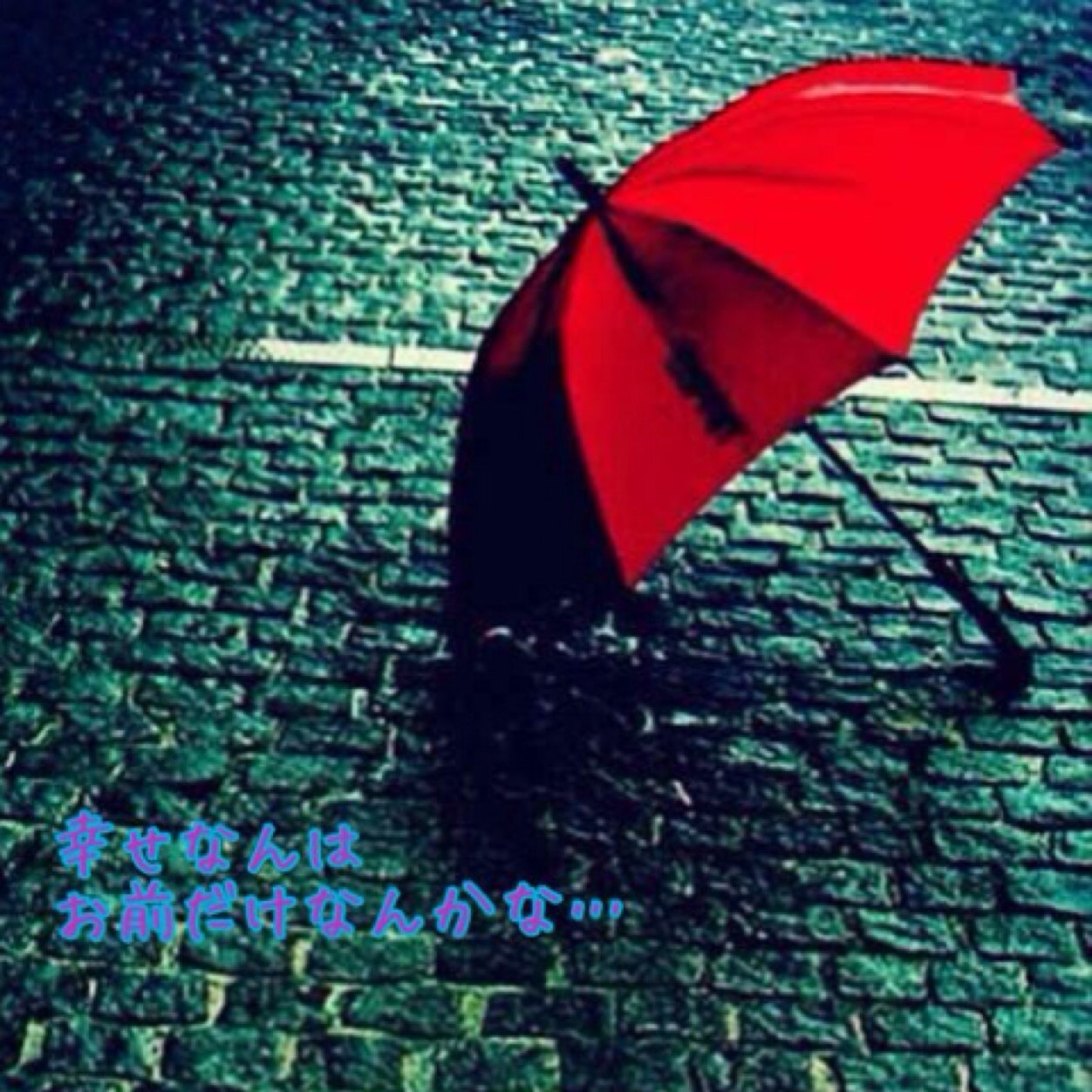 5932146norinori's profile picture. 男の子も女の子も不安なのはみんな同じ。