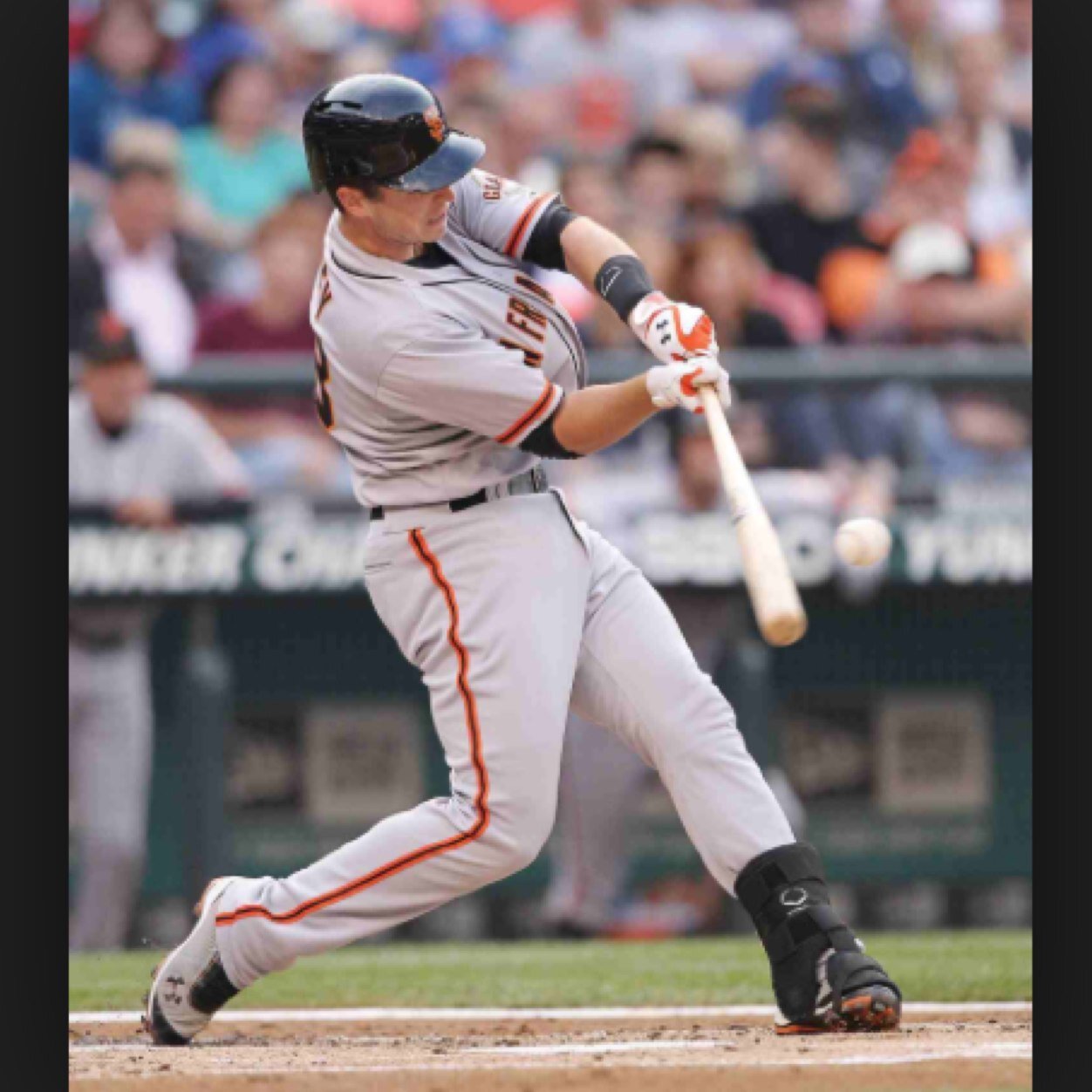 ryanbaldy916's profile picture. Baseball = life