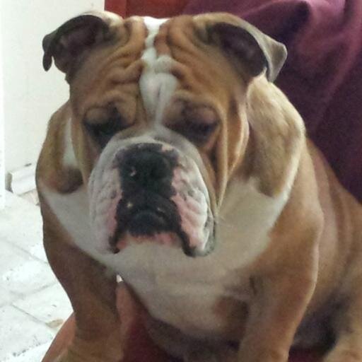 jhorn71's profile picture. 