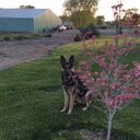 Kathy Rupert - @LennonfanKathy - Twitter