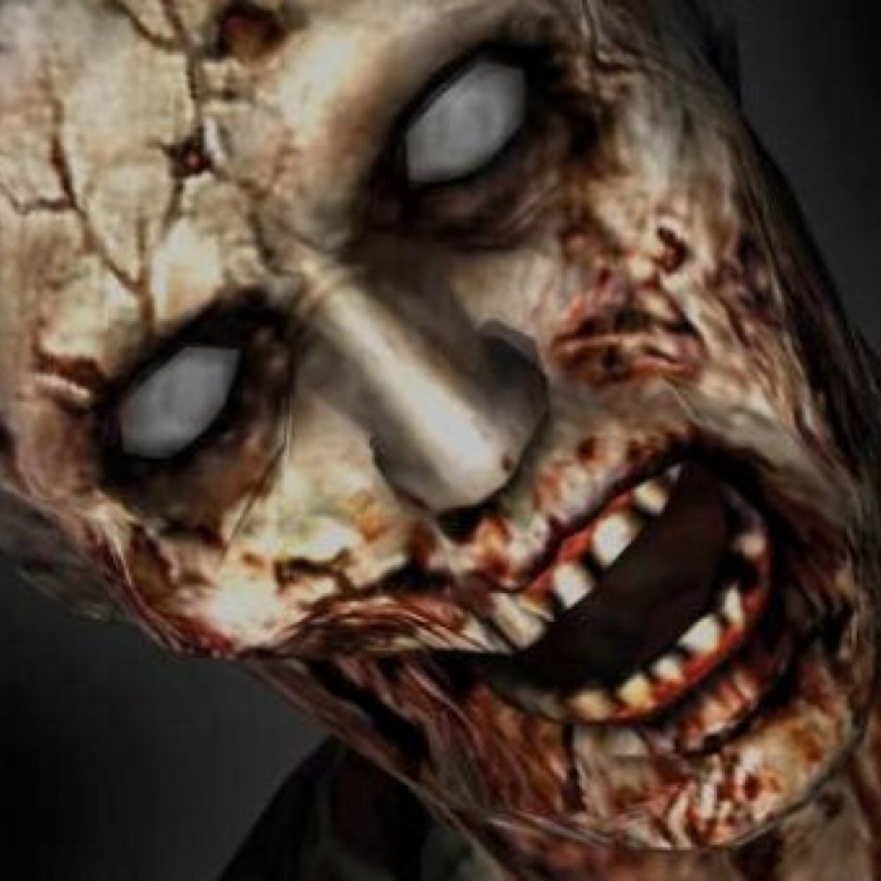 Welcome to the apocolipse if im following you, you are a survior! And if you are following me your infected! Let the apocolipes begain!